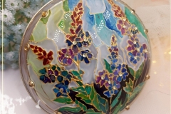 494214710_1289158499878449_5684947561119204437_n